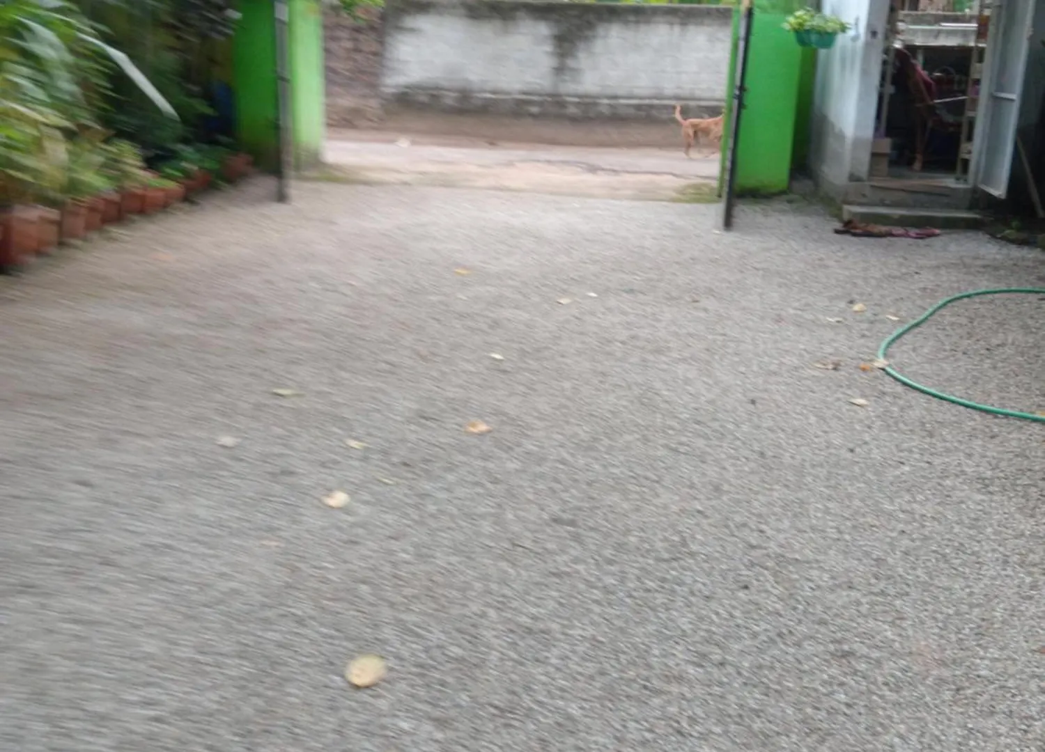 Greens Homestay فاركَالا