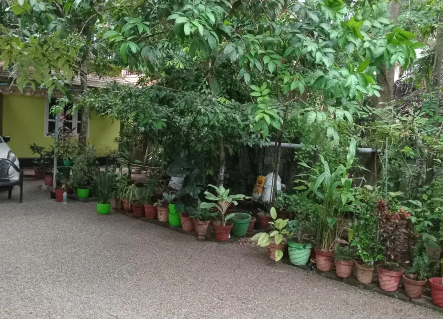 Greens Homestay فاركَالا