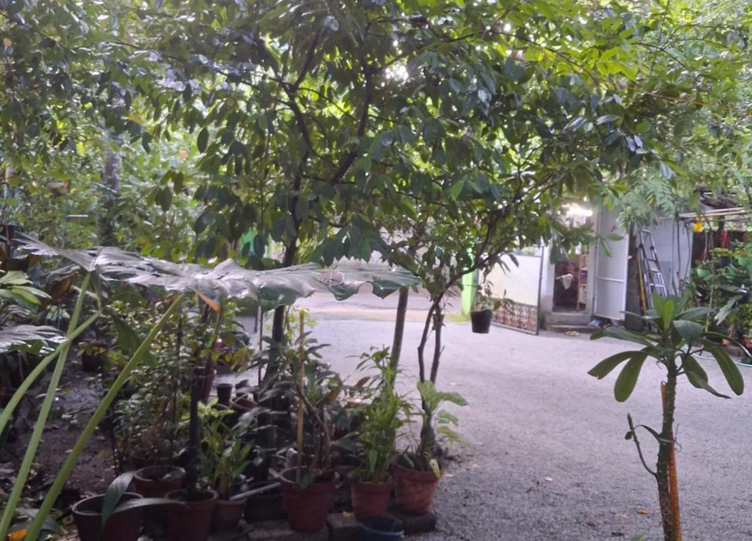 Greens Homestay فاركَالا الهند