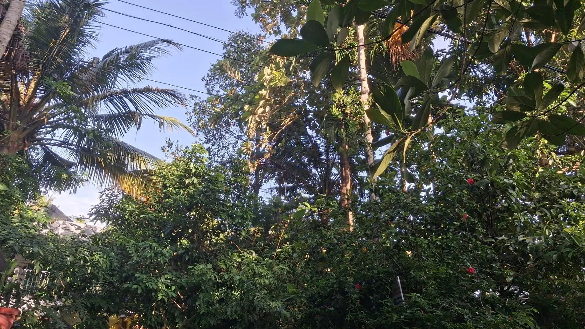Greens Homestay فاركَالا 0*,  الهند